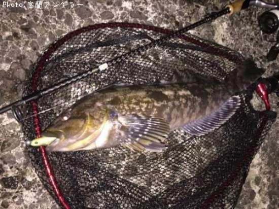 �����ʥ�