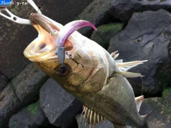 �����Х�