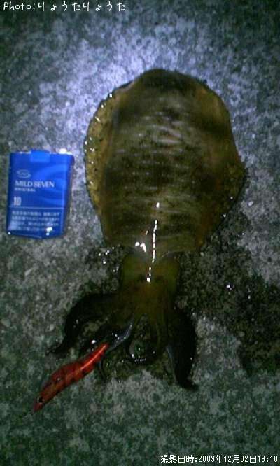 �����ꥤ��