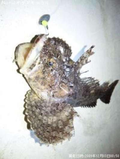 ���ॷ������