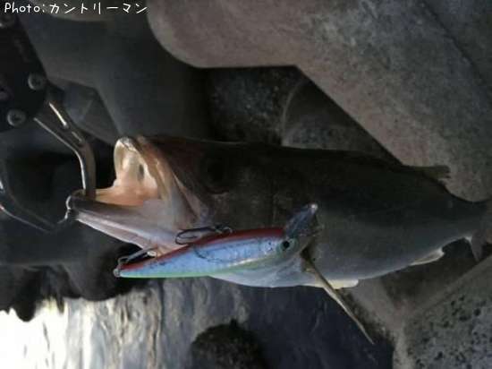 �����Х�