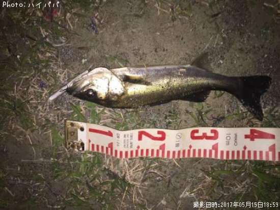 �����Х�