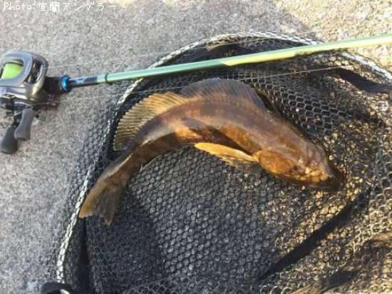 �����ʥ�