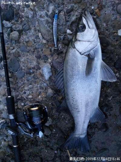 �ҥ饹����