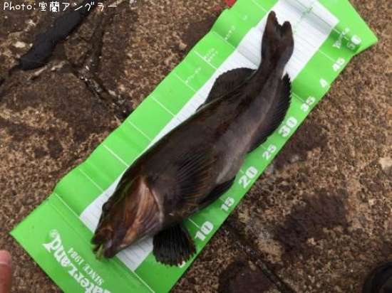 �����ʥ�