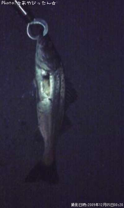 �����Х�