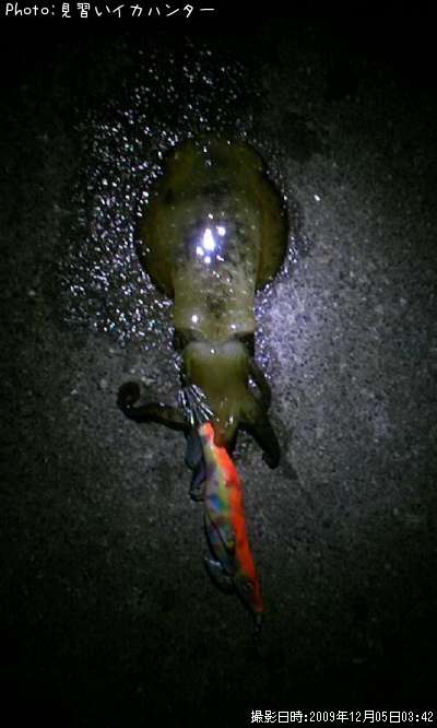 �����ꥤ��