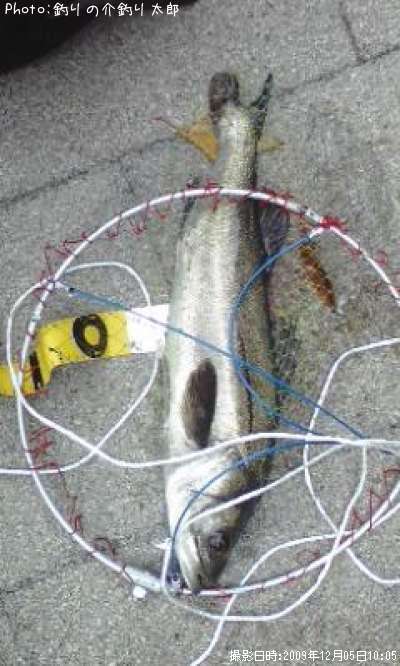 �����Х�