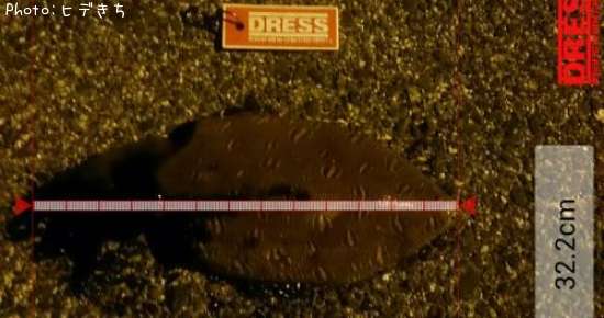 ��󥴥�����