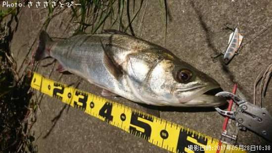 �����Х�