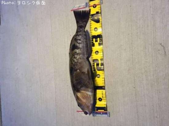 �����ʥ�