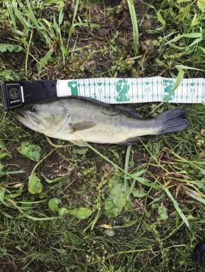 �֥�å��Х�