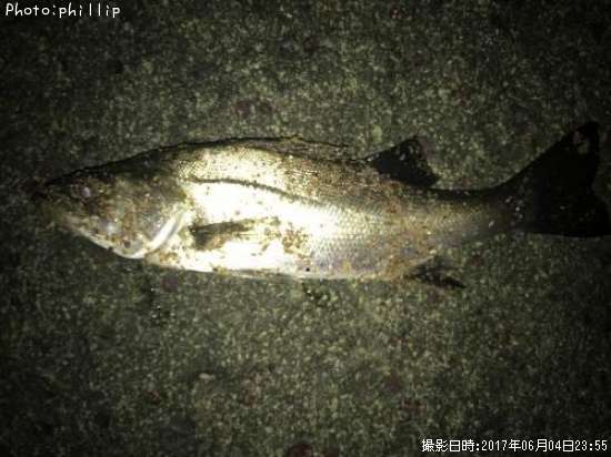 �����Х�