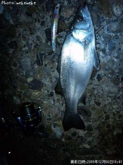 �ҥ饹����