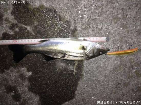 �����Х�