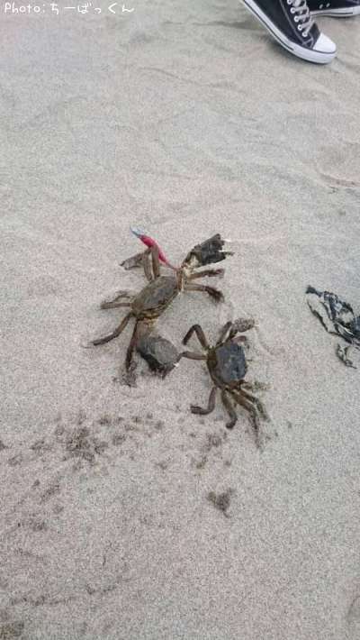 ���ˡߥ���