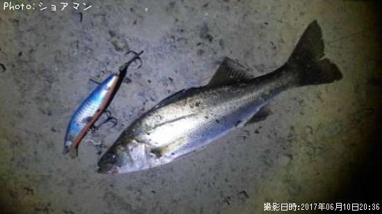 �����Х�