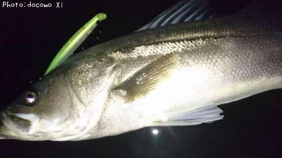 �����Х�