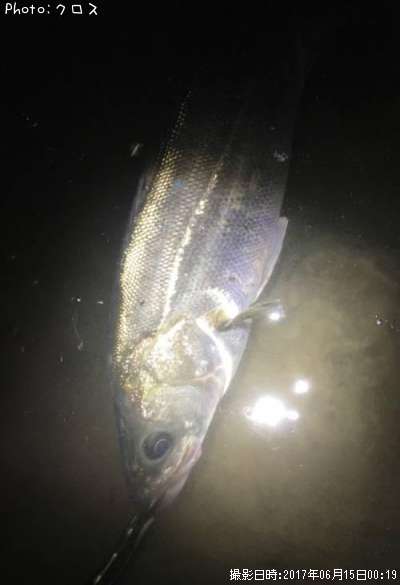 �����Х�