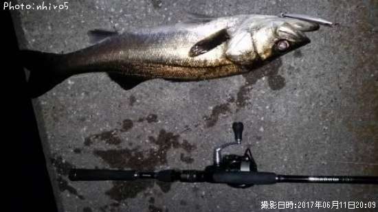 �����Х�