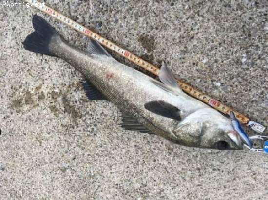 �����Х�