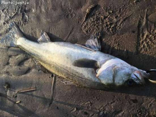 �����Х�