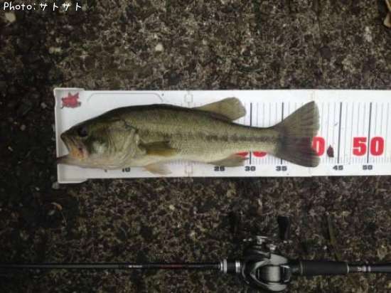 �֥�å��Х�