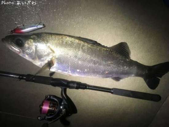 �����Х�