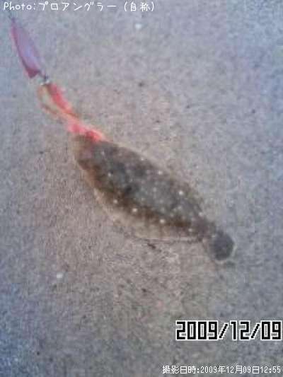 �����û�