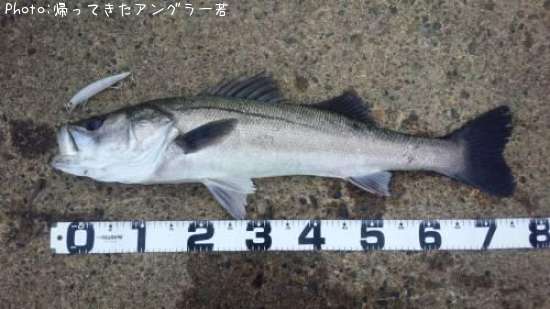 �����Х�