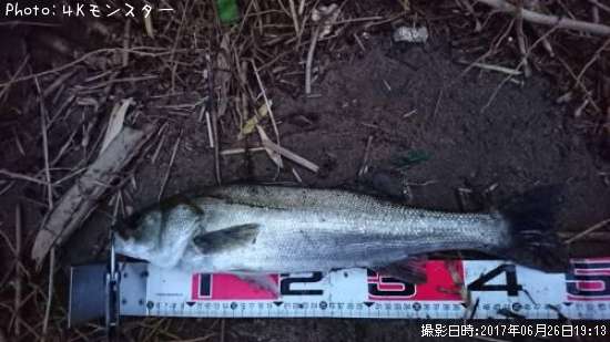 �����Х�