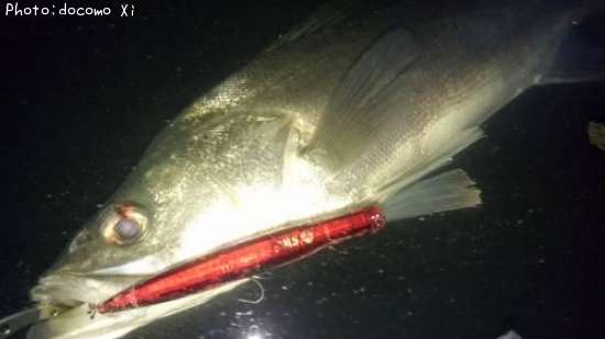 �����Х�