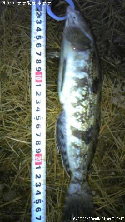 �����ʥ�