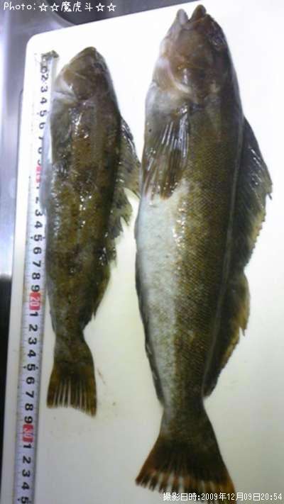 �����ʥ�