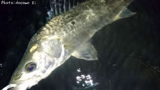 �����Х�