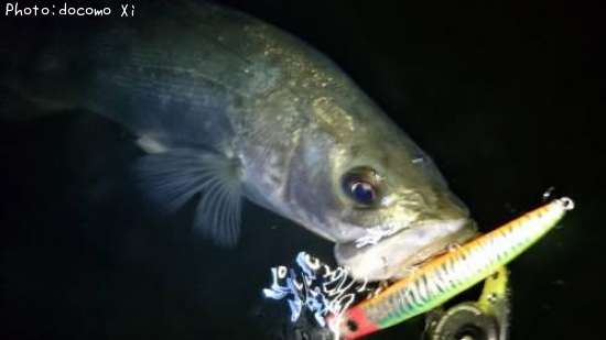 �����Х�