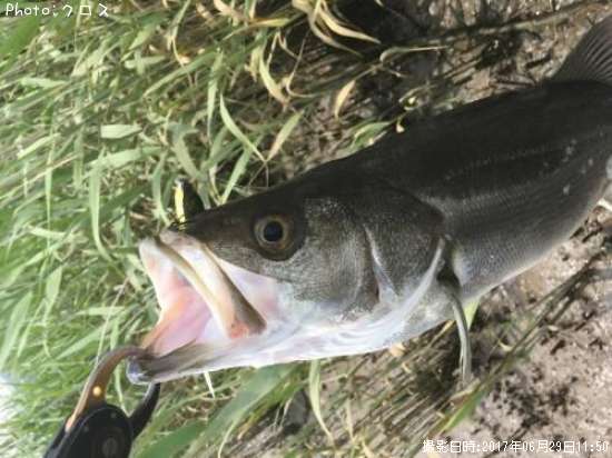 �����Х�