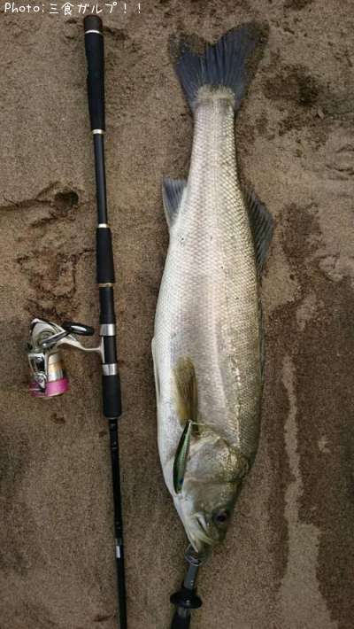 �����Х�