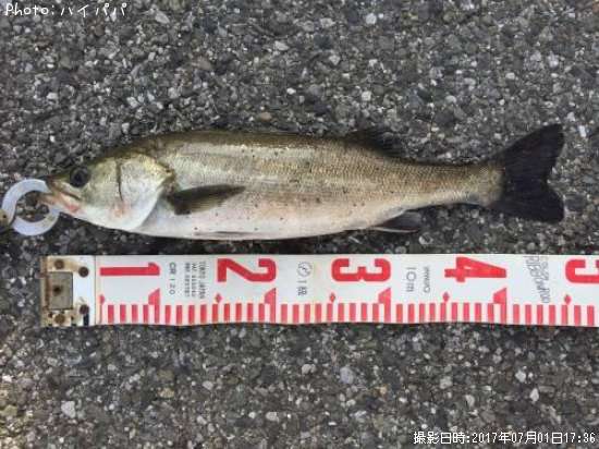 �����Х�