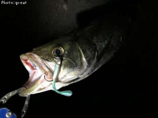 �����Х�