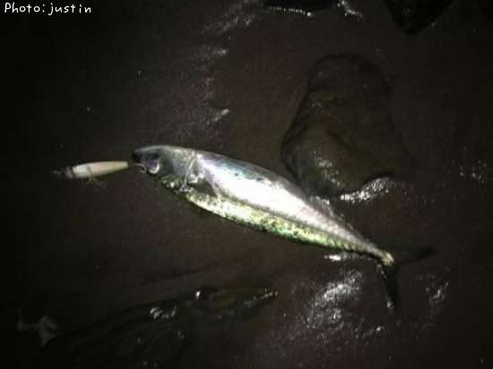 ���Ф���