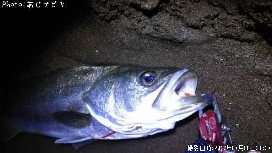 �����Х�