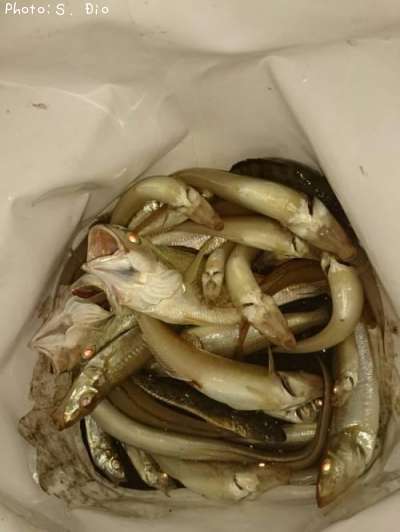 �������������������¾��