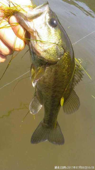 �֥�å��Х�