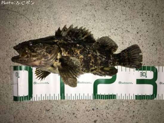 �����Υ���Х�