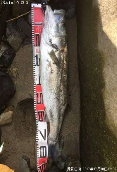 �����Х�