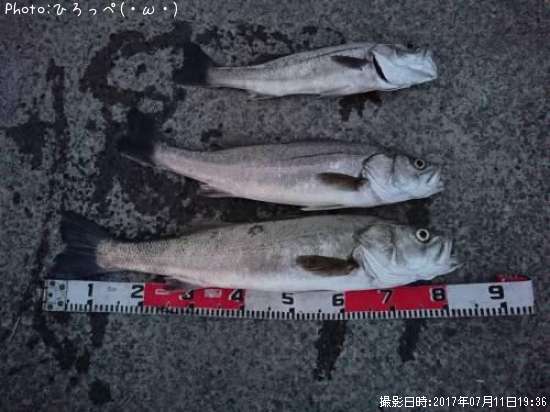 �����Х�