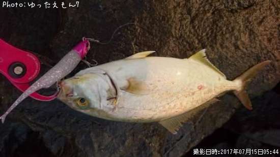 ����ѥ��λ�