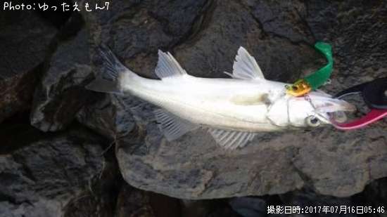 �����Х��λ�