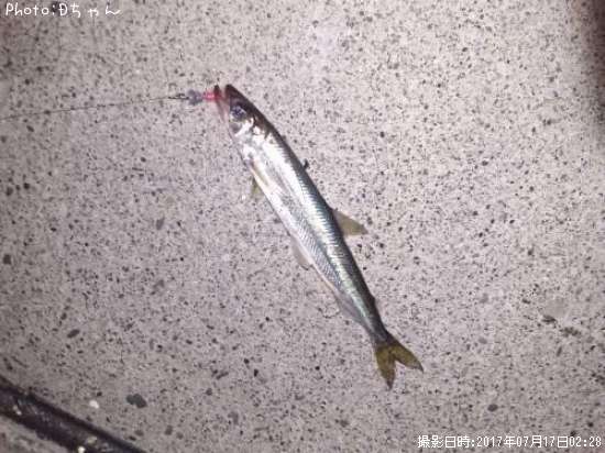 ���奦�ꥦ��